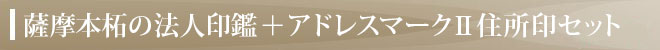 アドレスマークⅡ住所印（ゴム印）付きセット