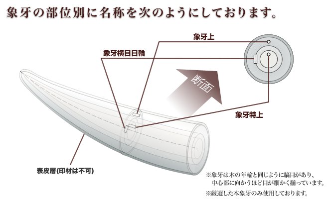 象牙横目日輪の材質について | いんかんの匠ドットコム